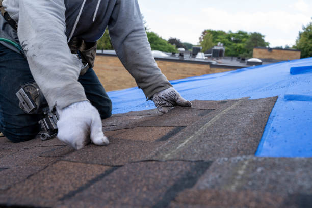 Best Emergency Roof Repair  in Warren, OH
