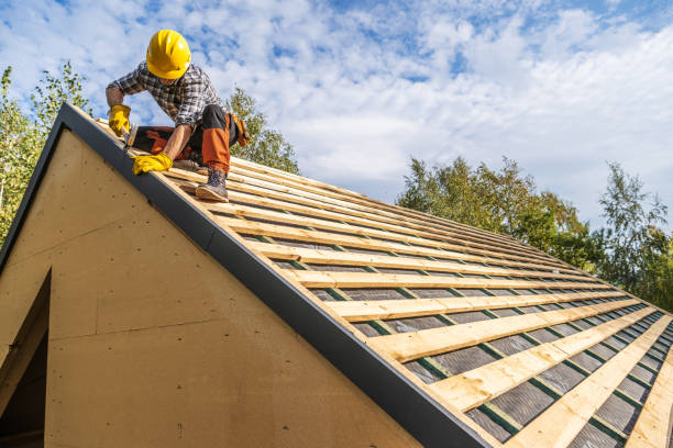 Best Local Roofing Companies  in Warren, OH