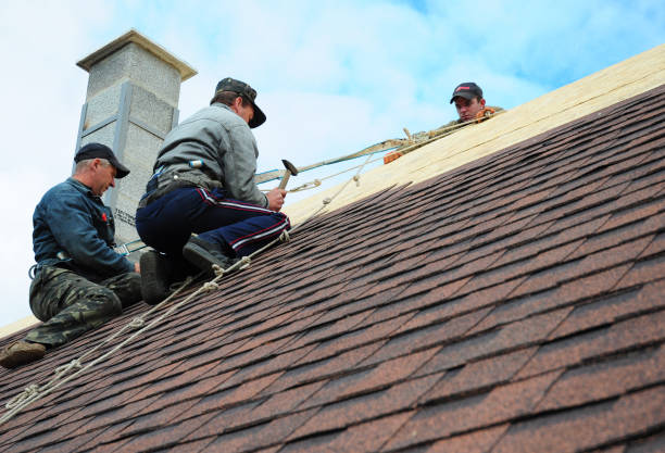 Best Roof Waterproofing Services  in Warren, OH