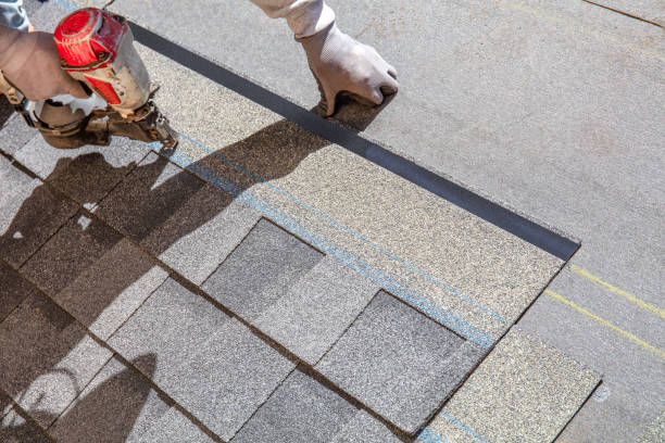 Best Local Roofing Companies  in Warren, OH