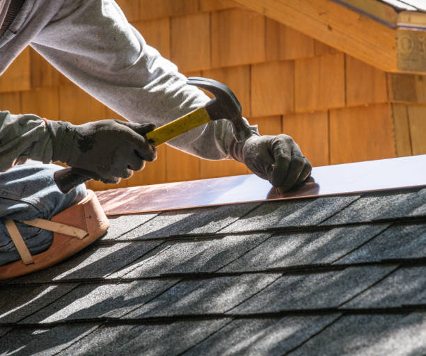 Best Roof Gutter Cleaning  in Warren, OH